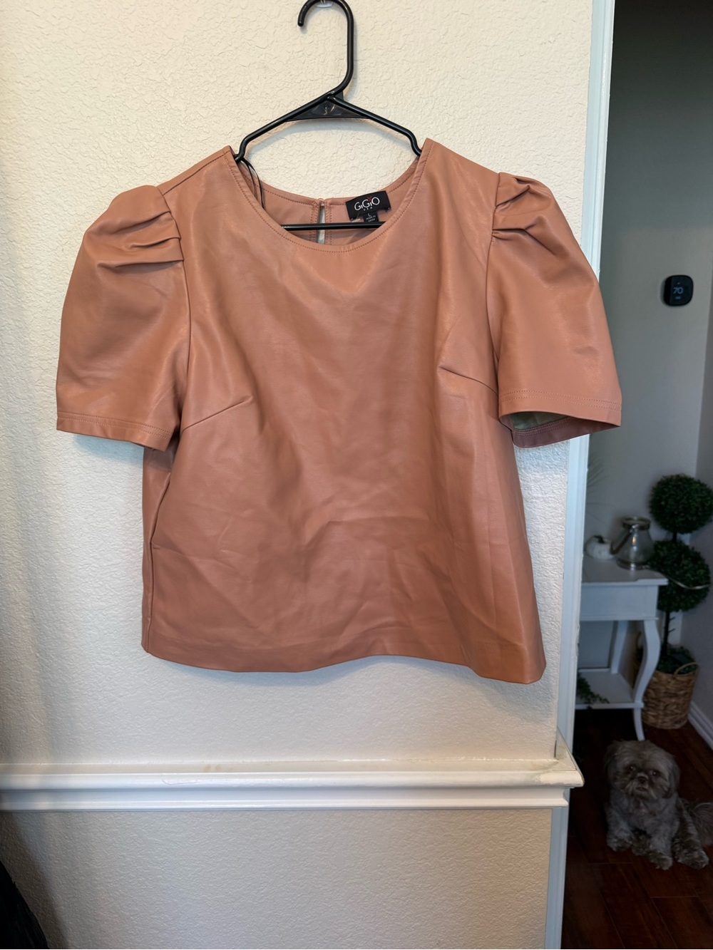 Puff Sleeve Faux Leather Top in Dusty Rose GiGio large